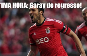 garay