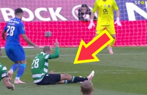 bas-dost-mergulho