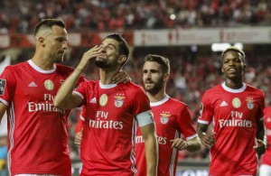 slb19