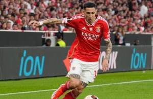 dimaria